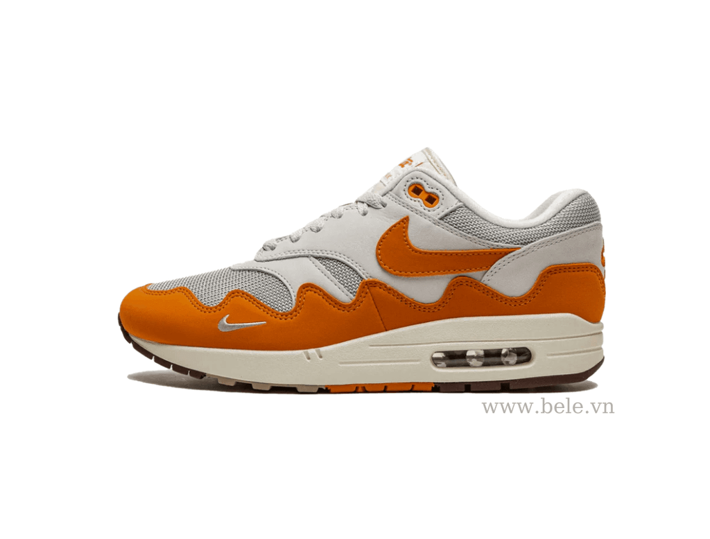 Nike Air Max 1 Patta Monarch DH1348 001