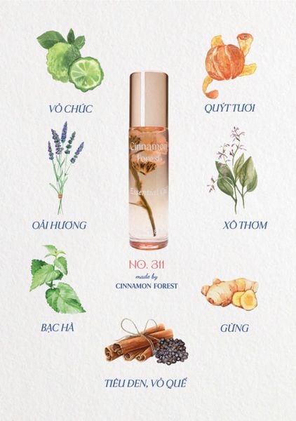  Chanh Chúc - Cinnamon Forest - Tinh dầu thơm 311 - Dầu hoa giữ ấm 311 -  311 