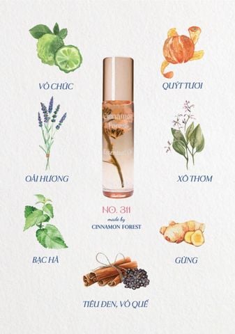  Chanh Chúc - Cinnamon Forest - Tinh dầu thơm 311 - Dầu hoa giữ ấm 311 -  311 