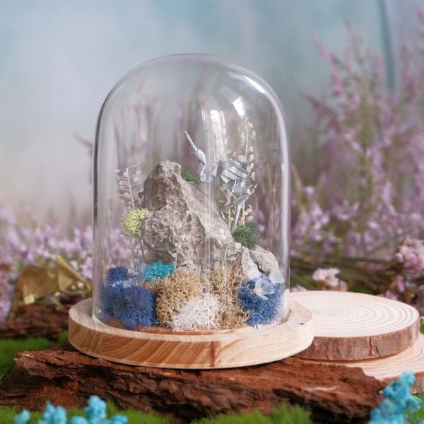  Chụp Thủy Tinh Rêu D11-H12 001 