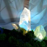  Rêu trang trí đá phong thủy Moss Gem 001 