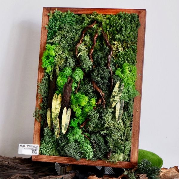  Tranh Rêu 20x30 005 trang trí nội thất 