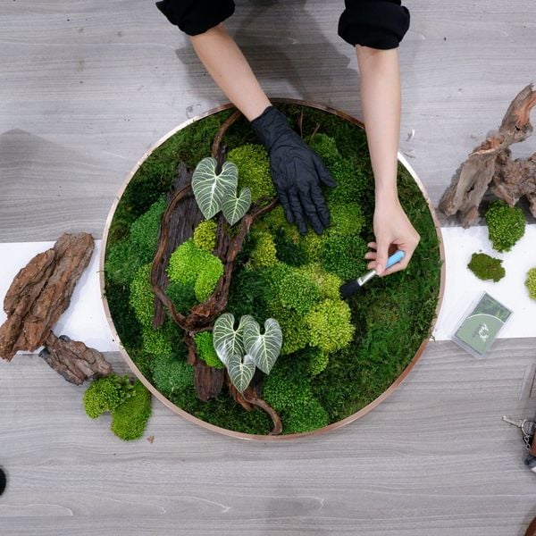  Tranh Rêu D60 001 trang trí nội thất 