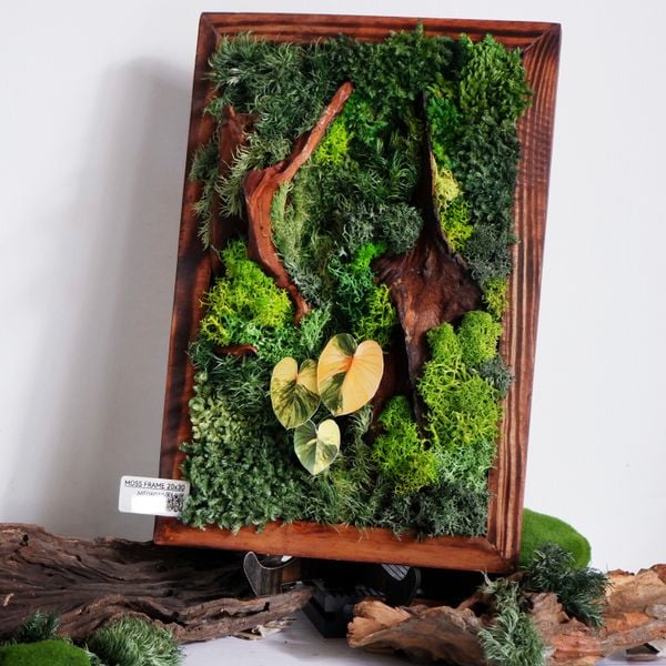  Tranh Rêu 20x30 003 trang trí nội thất 