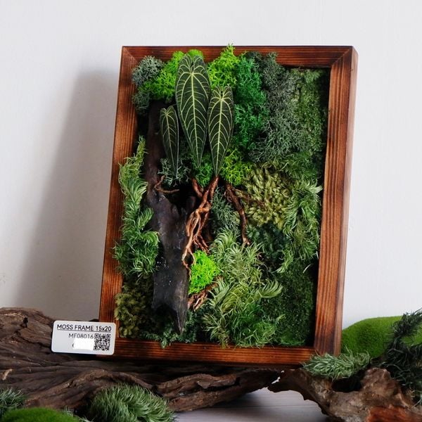  Tranh Rêu 15x20 005 trang trí nội thất 