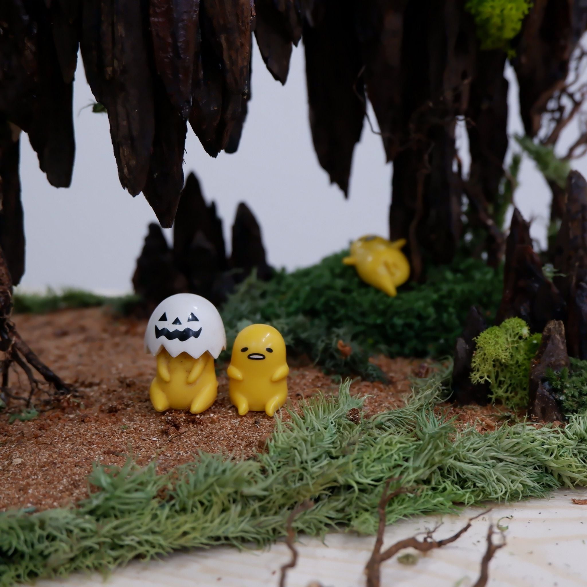  Tiểu cảnh rêu trang trí nội thất 02 