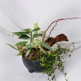  Gốm Chăm ghép Lan Lá 