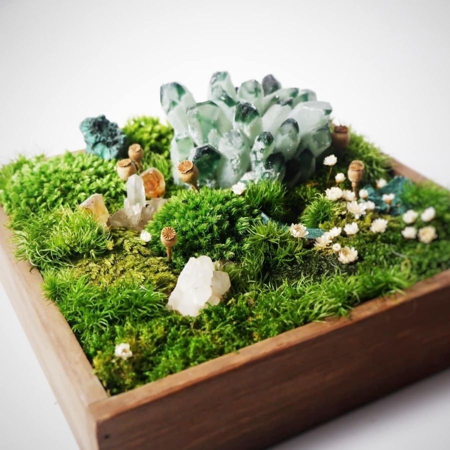  Hộp rêu đá phong thủy 