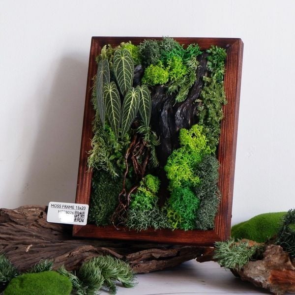  Tranh Rêu 15x20cm trang trí nội thất 