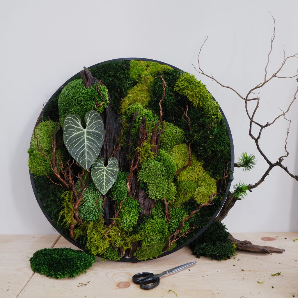  Tranh Rêu D60 002 trang trí nội thất 