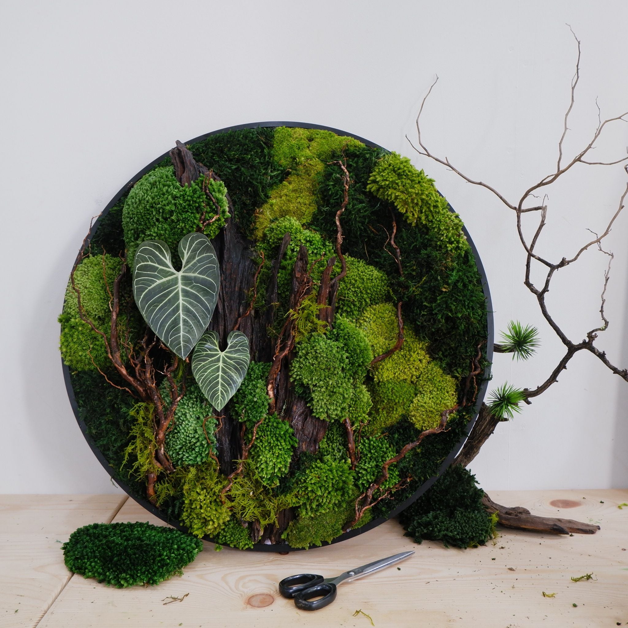  Tranh Rêu D60 002 trang trí nội thất 