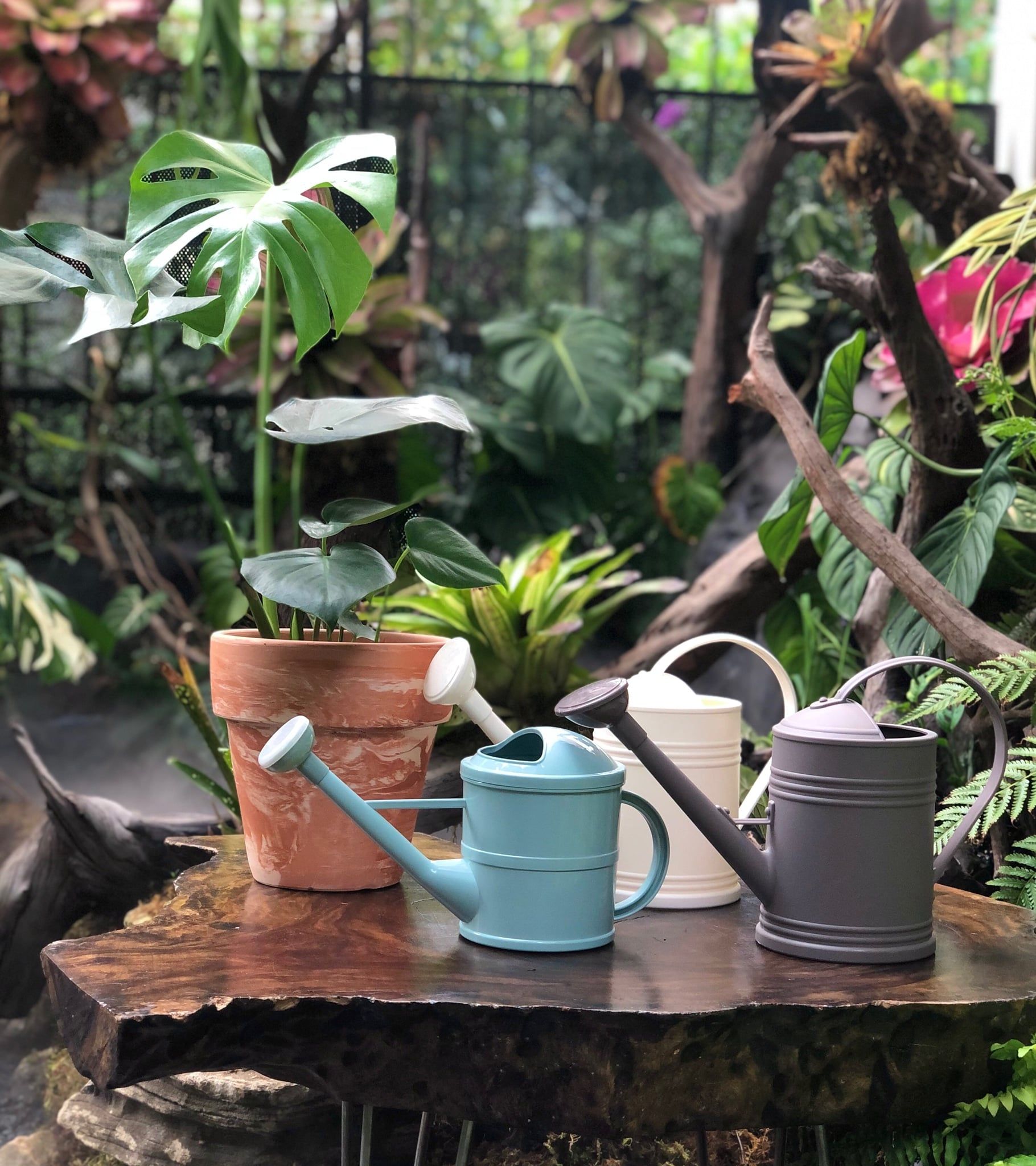  Bình tưới cây màu trắng xanh xám 