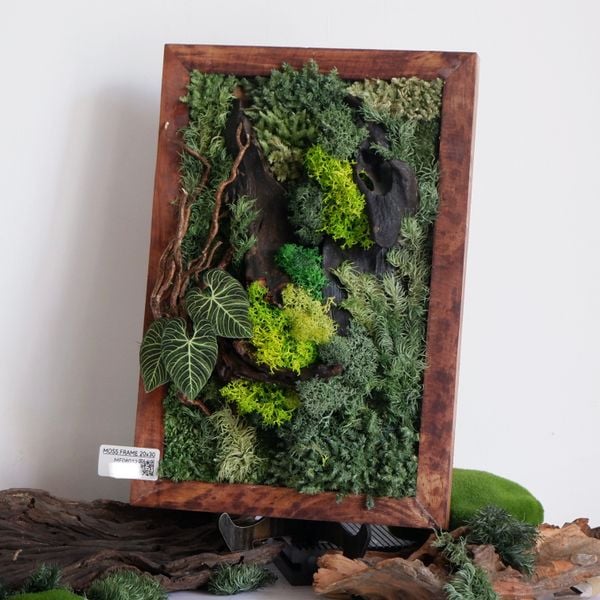  Tranh Rêu 20x30 002 trang trí nội thất 