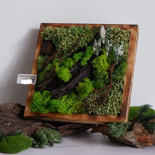  Tranh Rêu 20x20 001 trang trí nội thất 