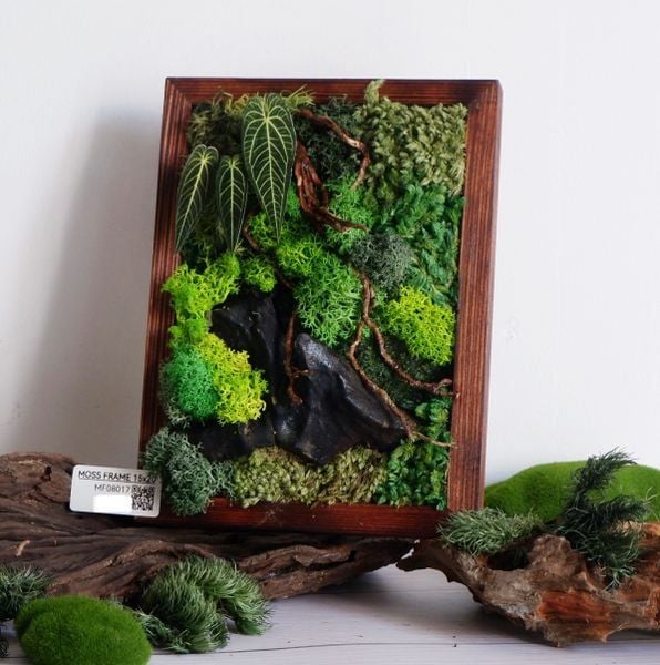  Tranh Rêu 15x20cm trang trí nội thất 