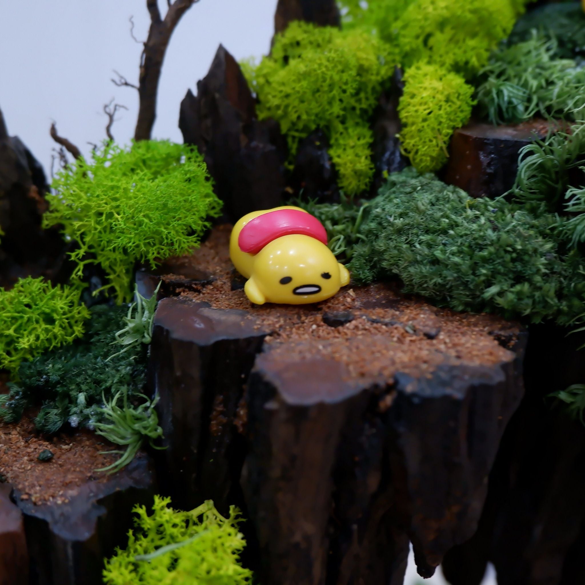  Tiểu cảnh rêu trang trí nội thất 02 