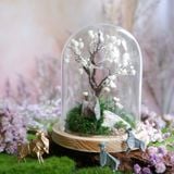  Chụp Thủy Tinh Rêu D11-H12 004 