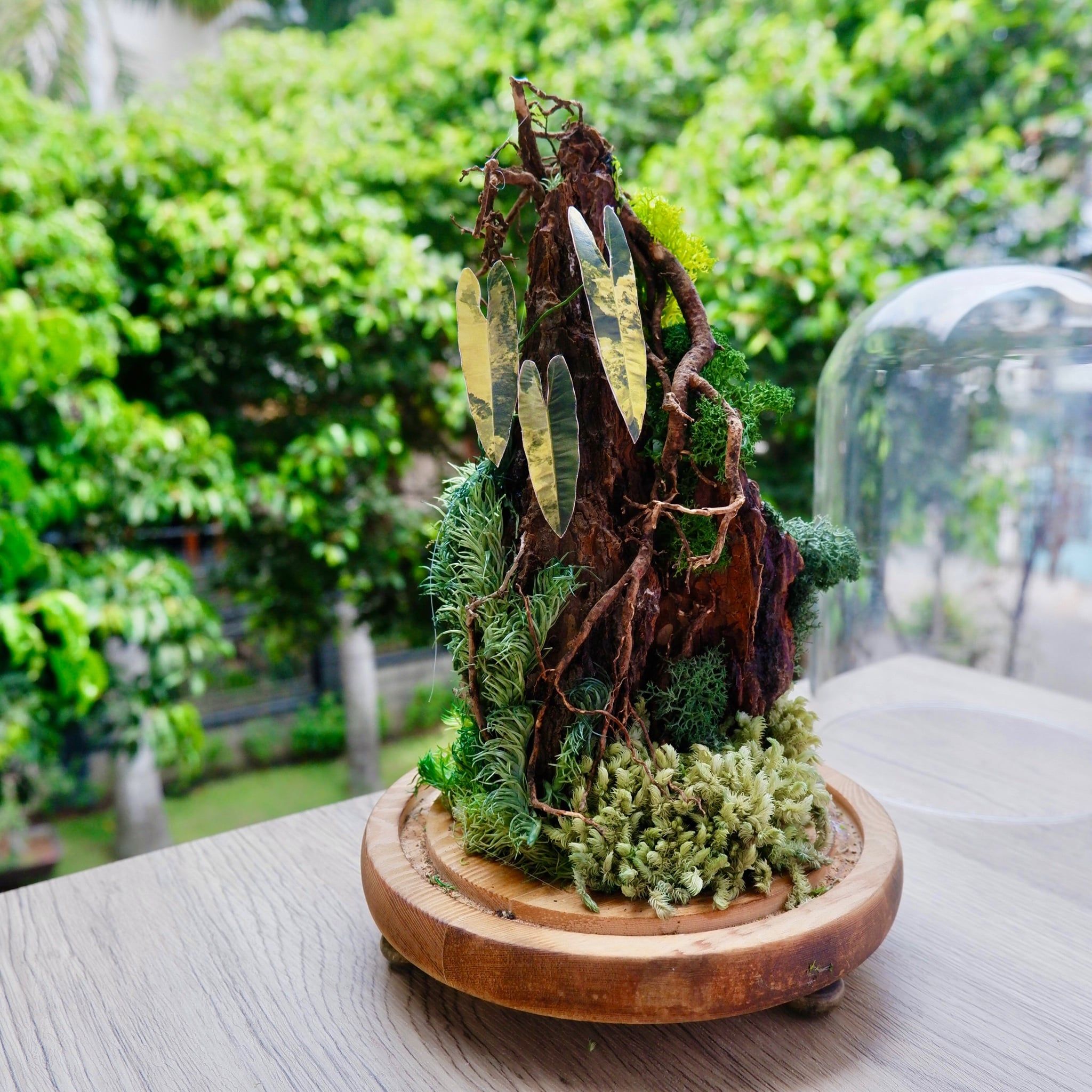  Chụp Thủy Tinh Rêu D12-H20 002 