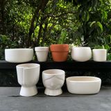  Chậu cây BT D10 men trắng 