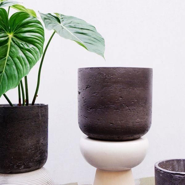  Chậu nhám nâu trồng cây B3 