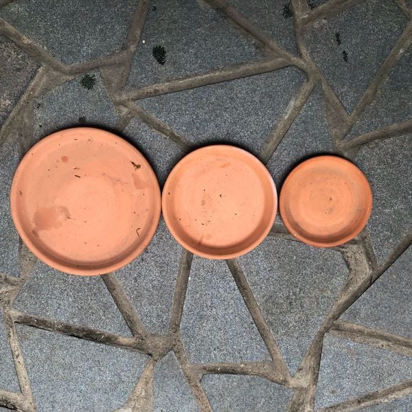  Đĩa đất nung nhiều kích cỡ 