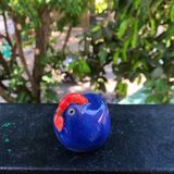  Thú Gốm trang trí sân vườn 