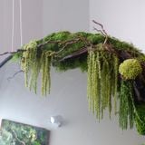  Gương trang trí rêu Moss Mirror 