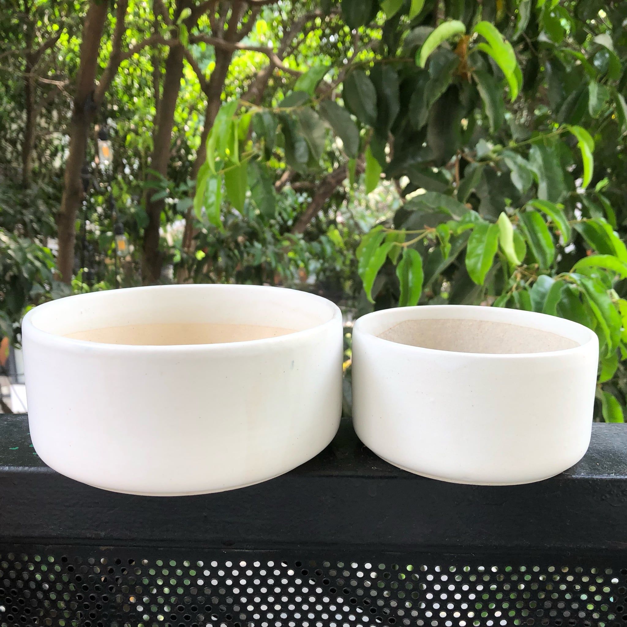  Chậu trồng cây BT  men trắng 