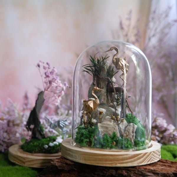  Chụp Thủy Tinh Rêu D11-H12 003 