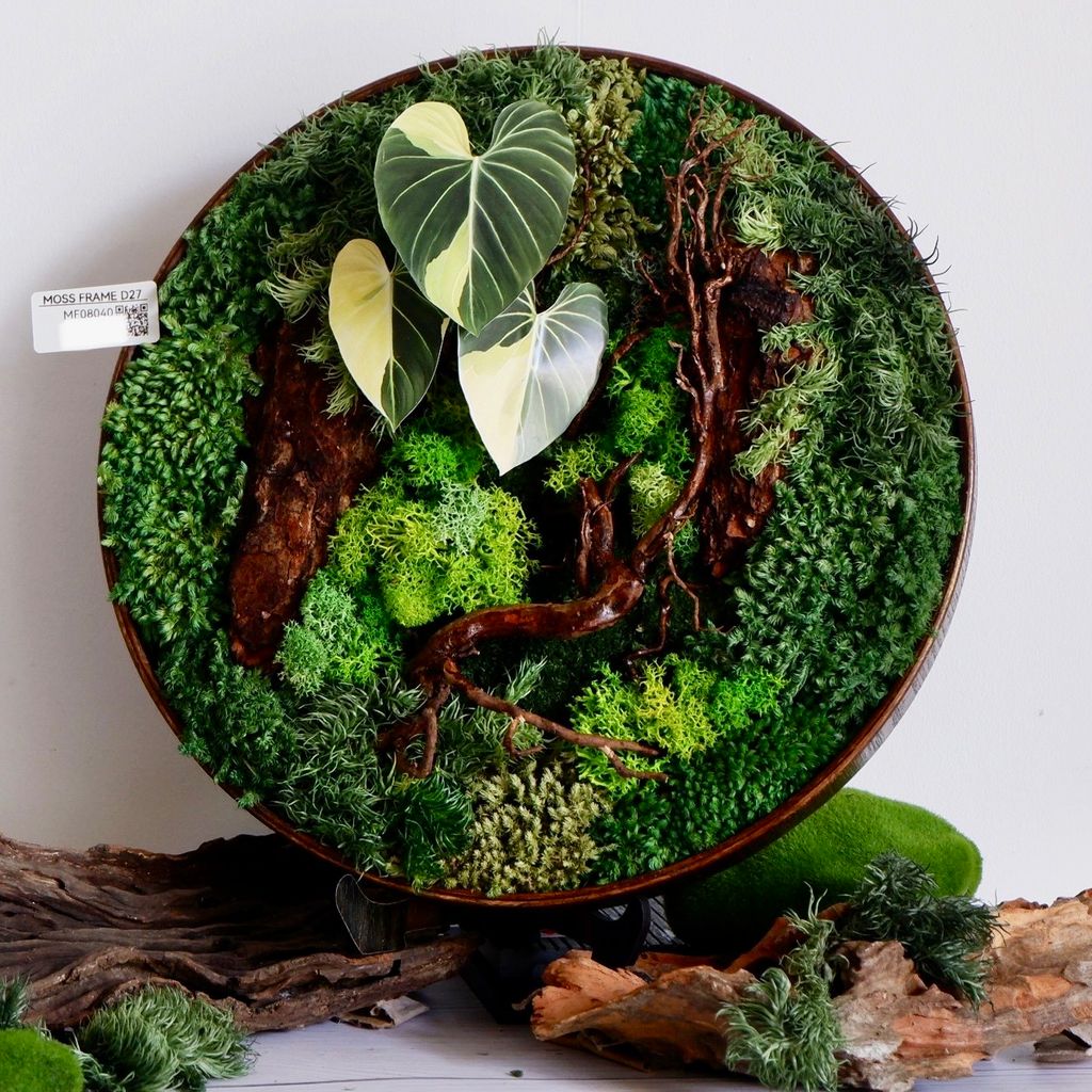  Tranh Rêu D27 001 trang trí nội thất 