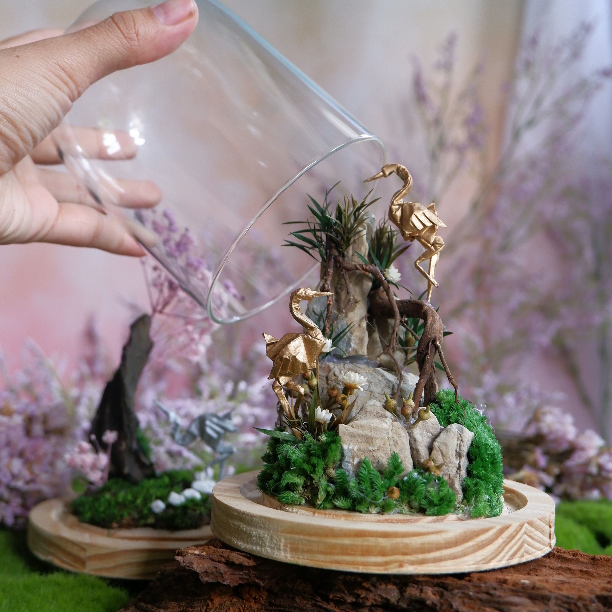  Chụp Thủy Tinh Rêu D11-H12 003 