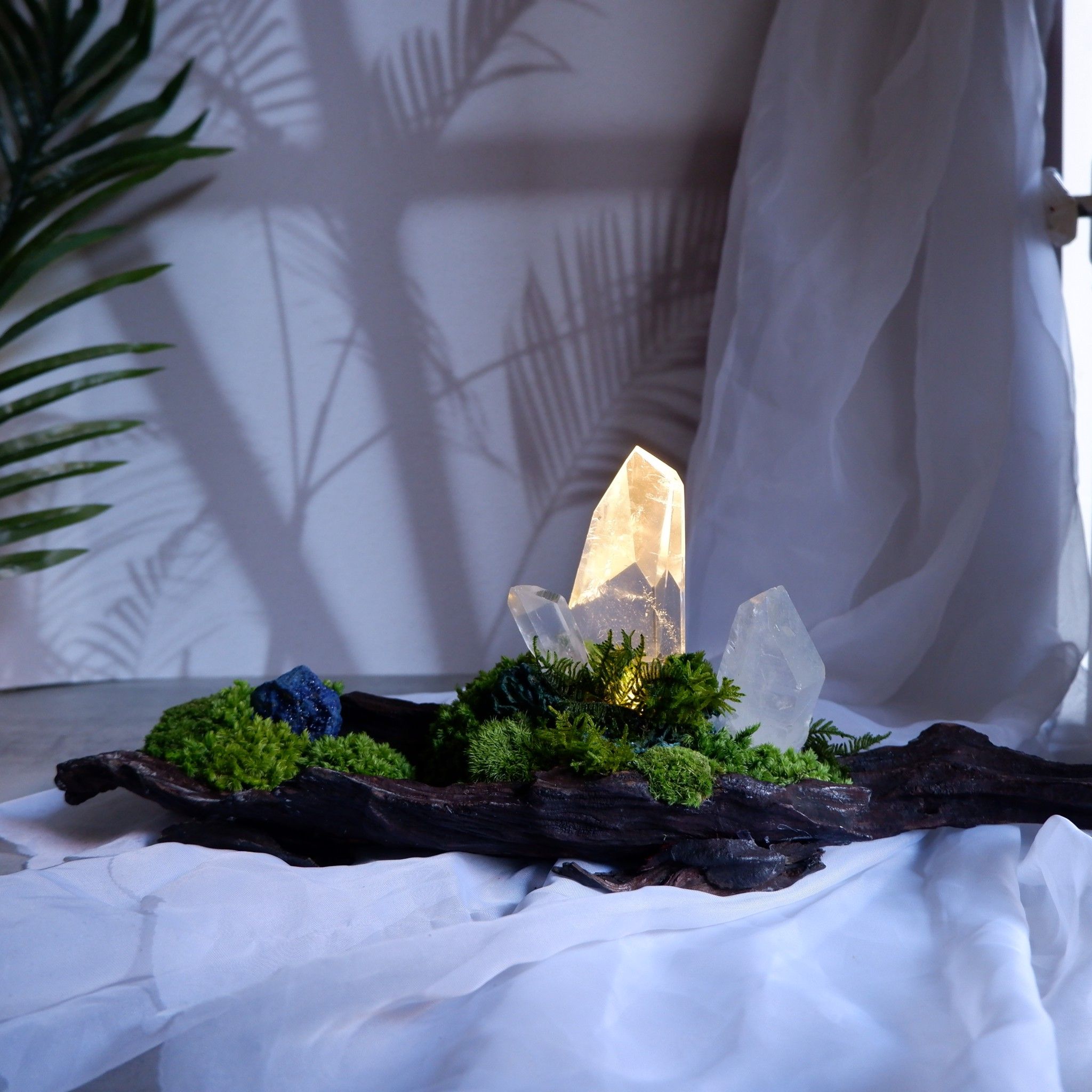  Rêu trang trí đá phong thủy Moss Gem 