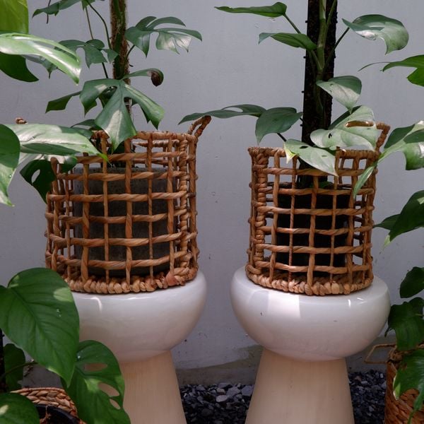  Giỏ lục bình thưa trang trí vườn 