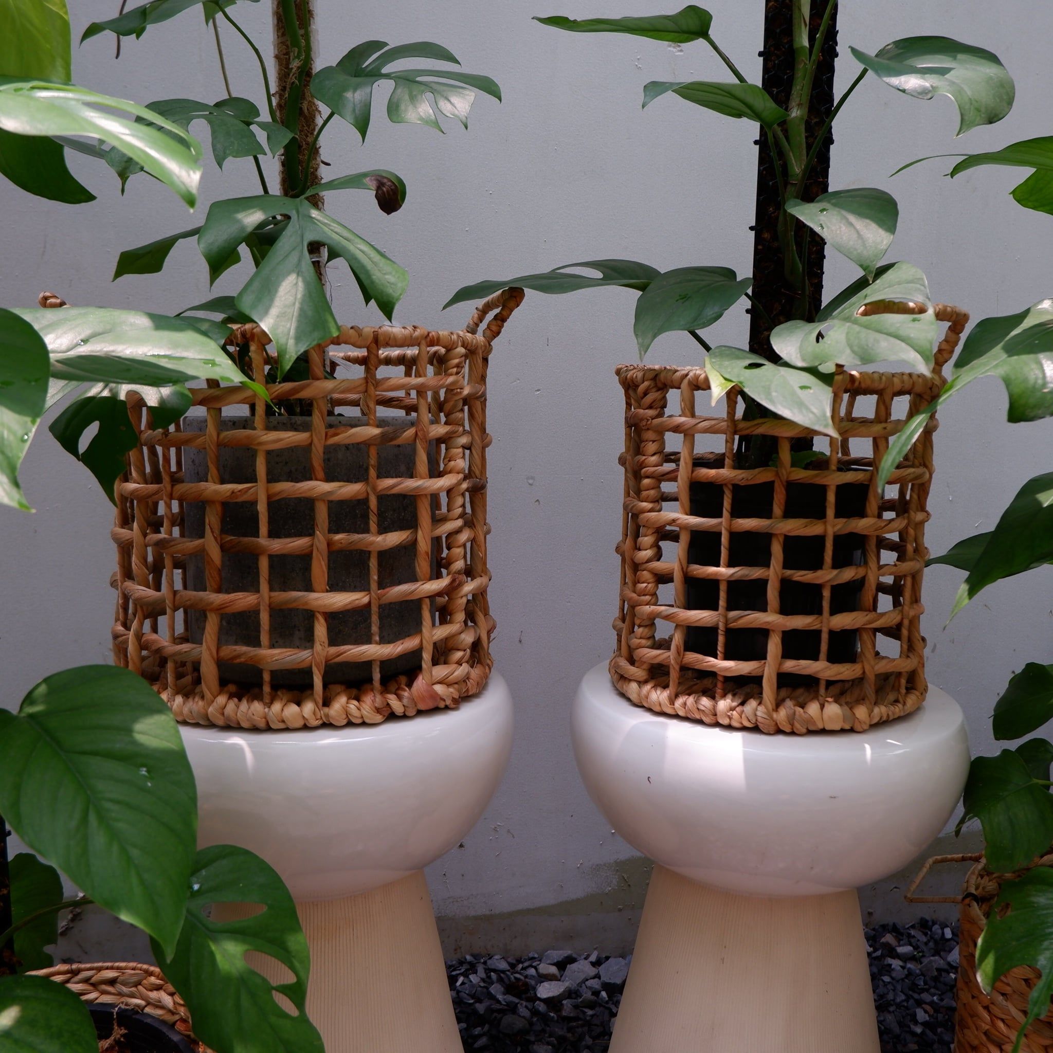  Giỏ lục bình thưa trang trí vườn 