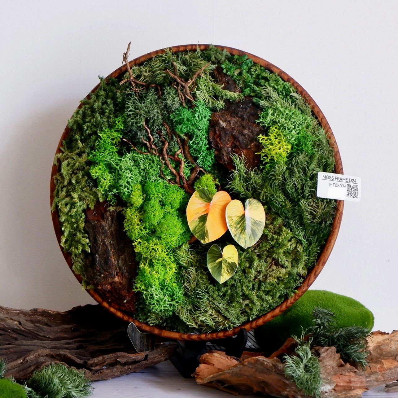  Tranh Rêu D24 001 trang trí nội thất 