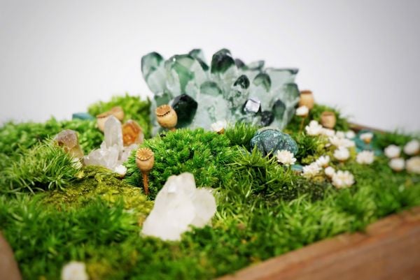  Hộp rêu đá phong thủy 