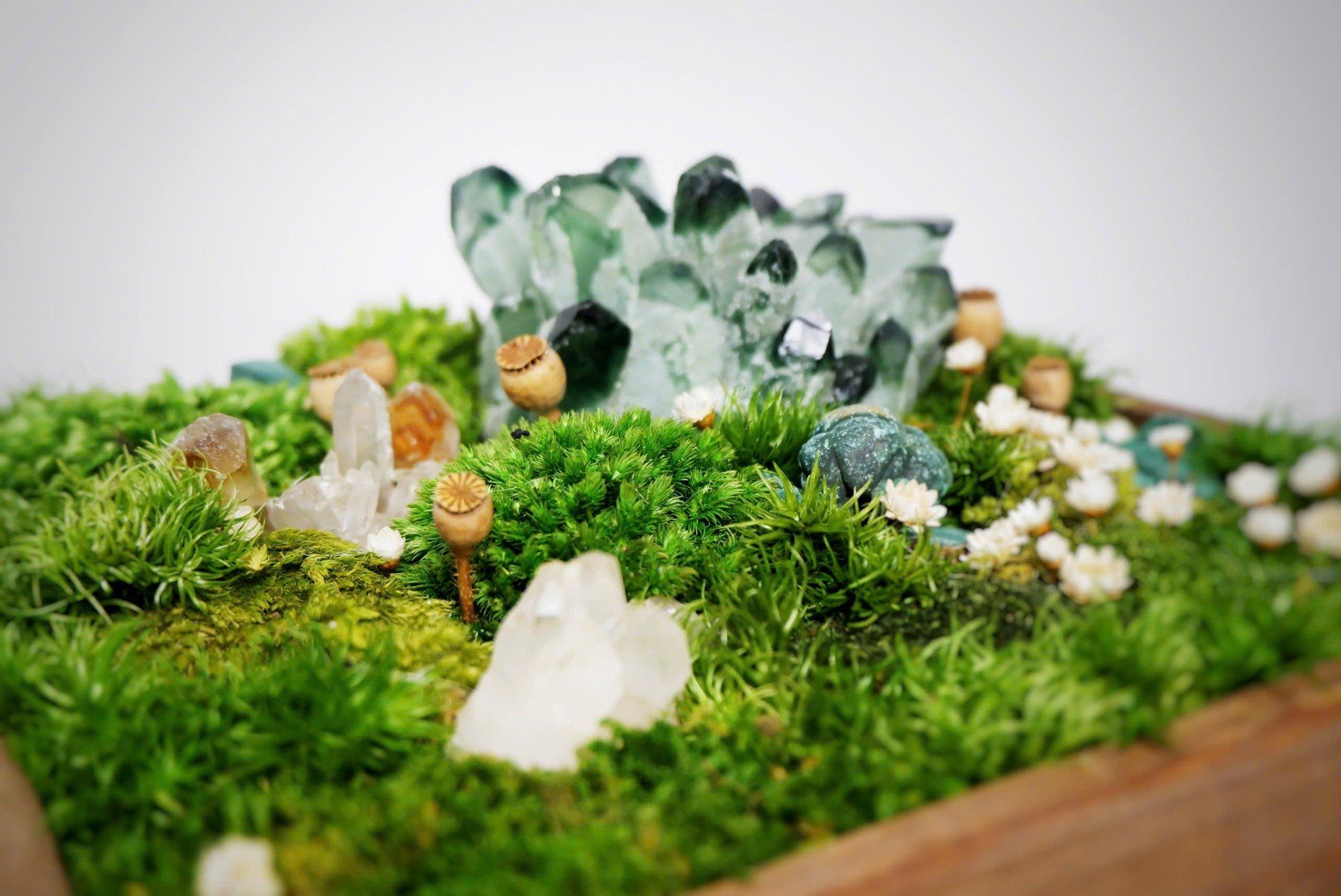  Hộp rêu đá phong thủy 