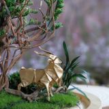  Chụp Thủy Tinh Rêu D11-H12 002 