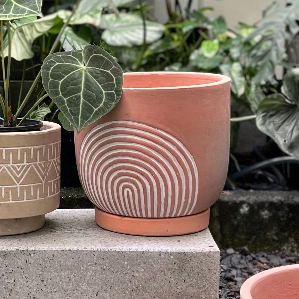  Chậu men màu hồng họa tiết 