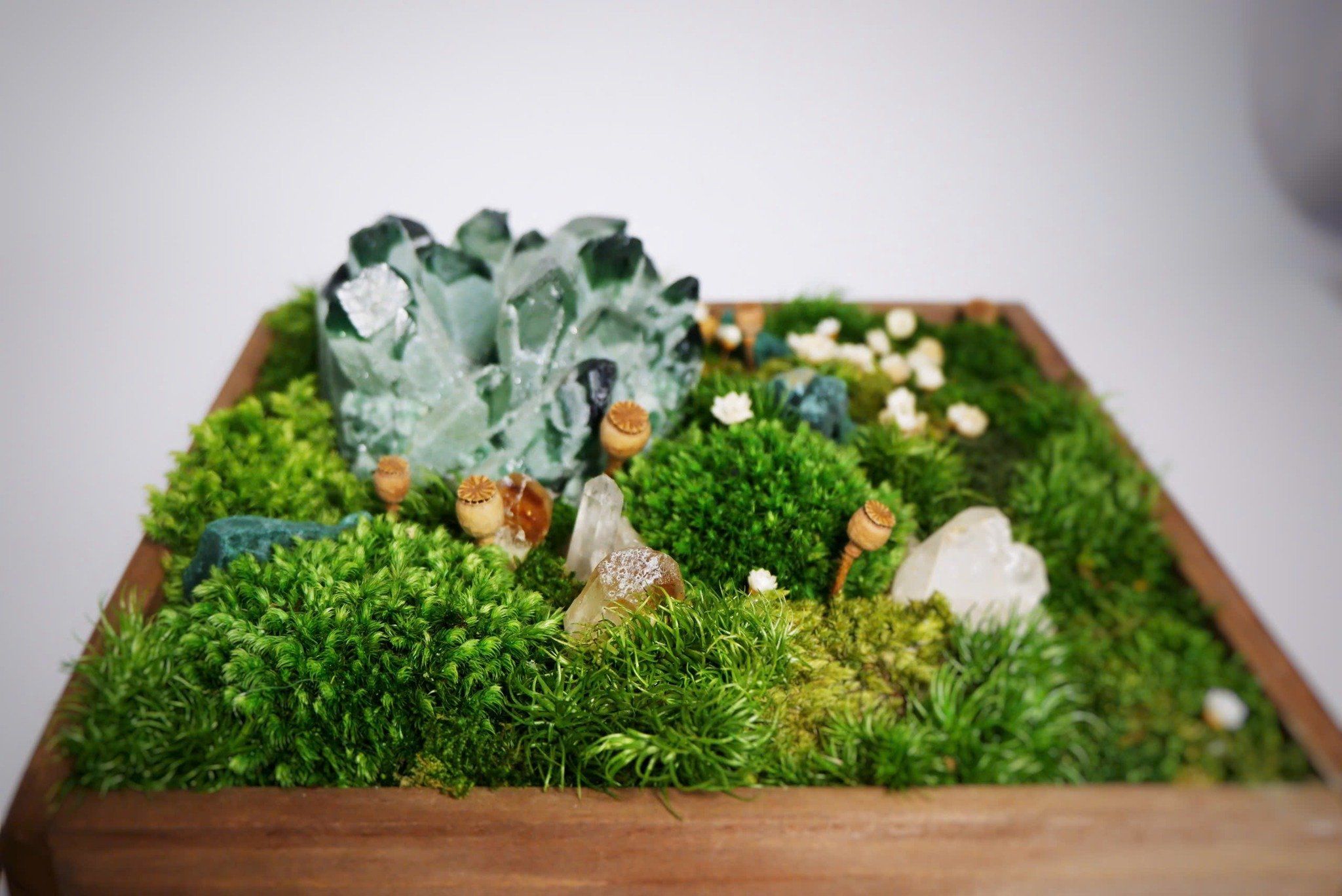  Hộp rêu đá phong thủy 