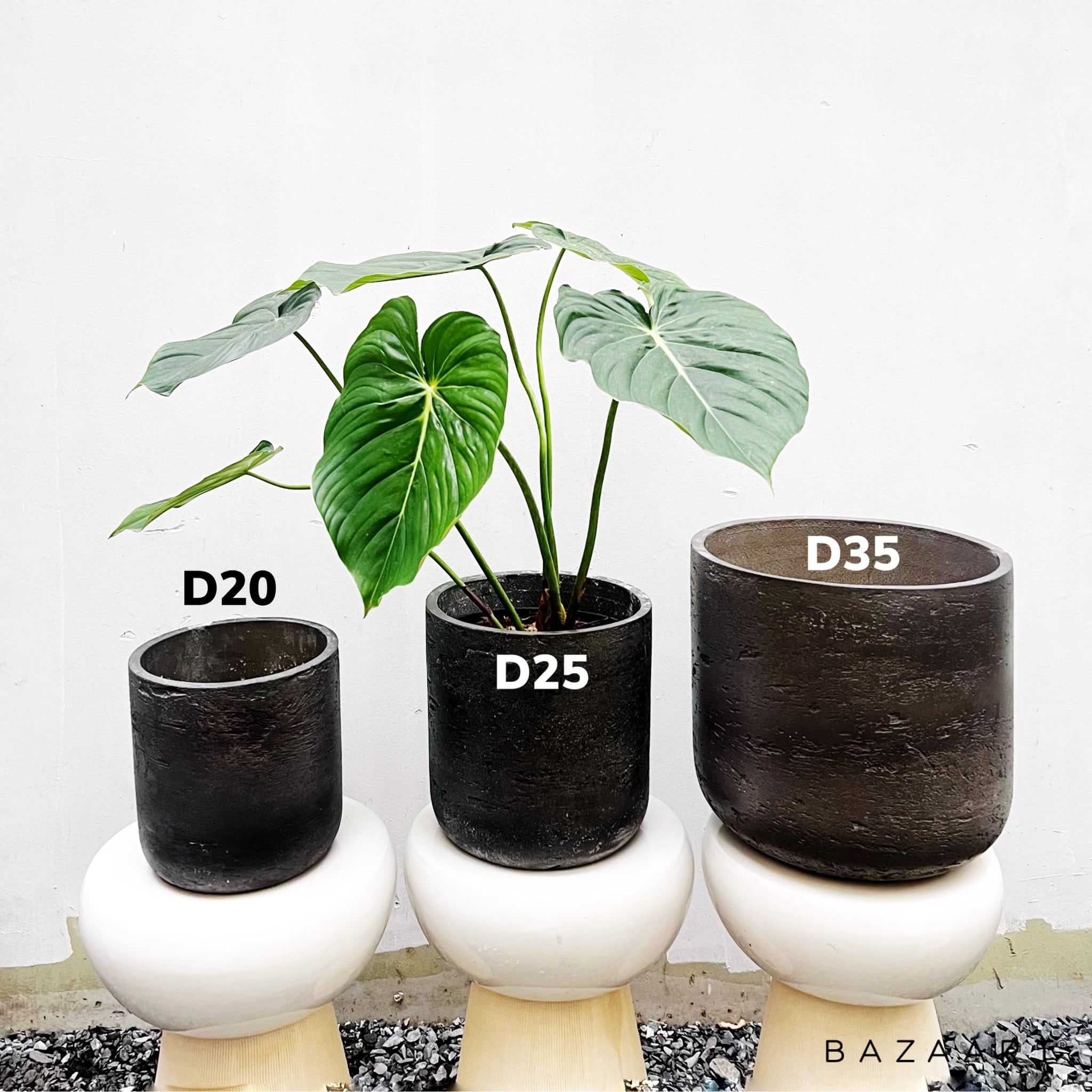  Chậu nhám nâu trồng cây B3 