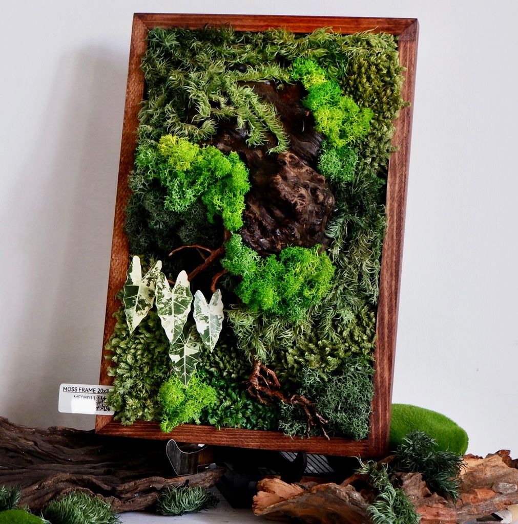  Tranh Rêu 20x30 010 trang trí nội thất 