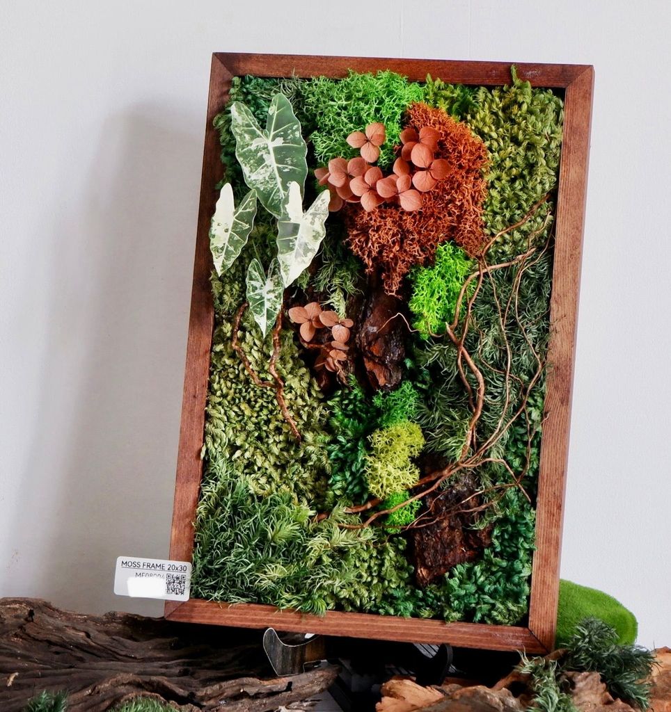  Tranh rêu 20x30 006 trang trí nội thất 