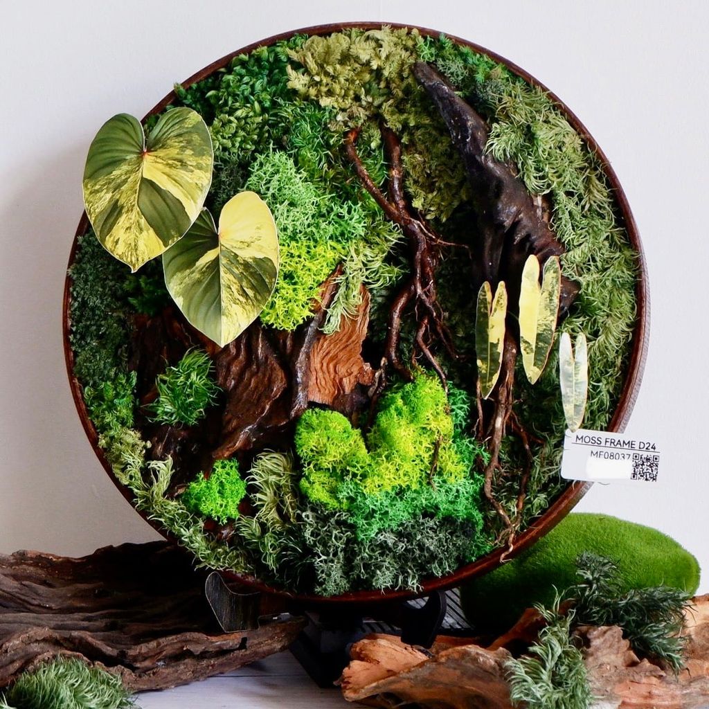  Tranh Rêu D24 002 trang trí nội thất 