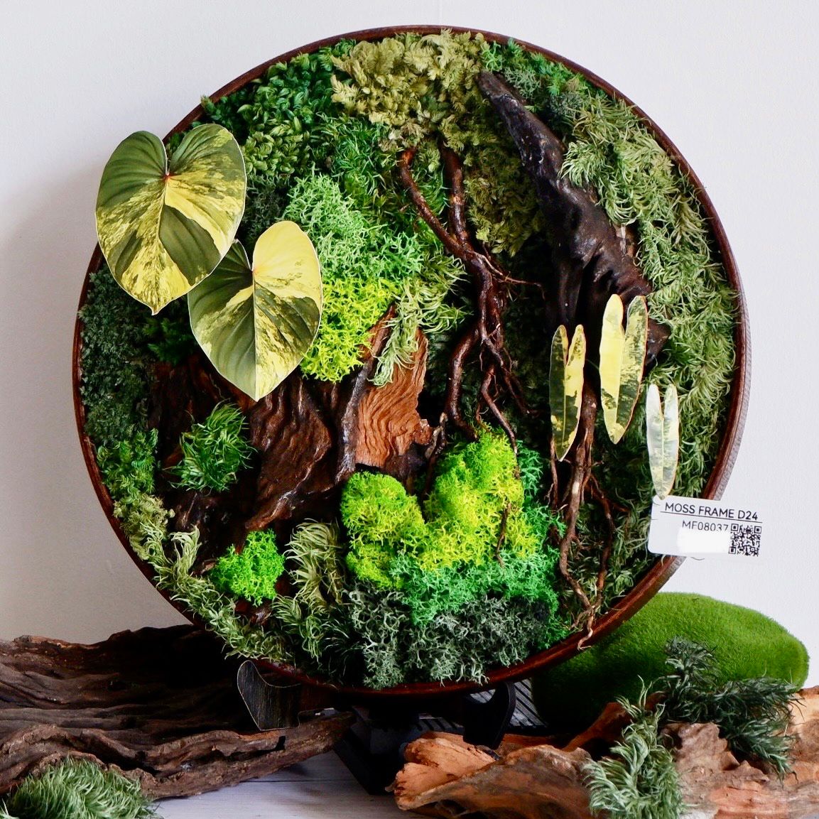  Tranh Rêu D24 002 trang trí nội thất 