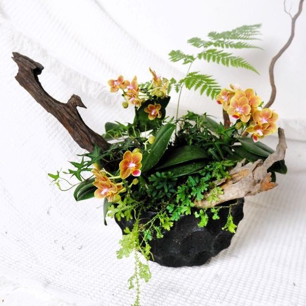  Gốm Chăm ghép Lan Lá 