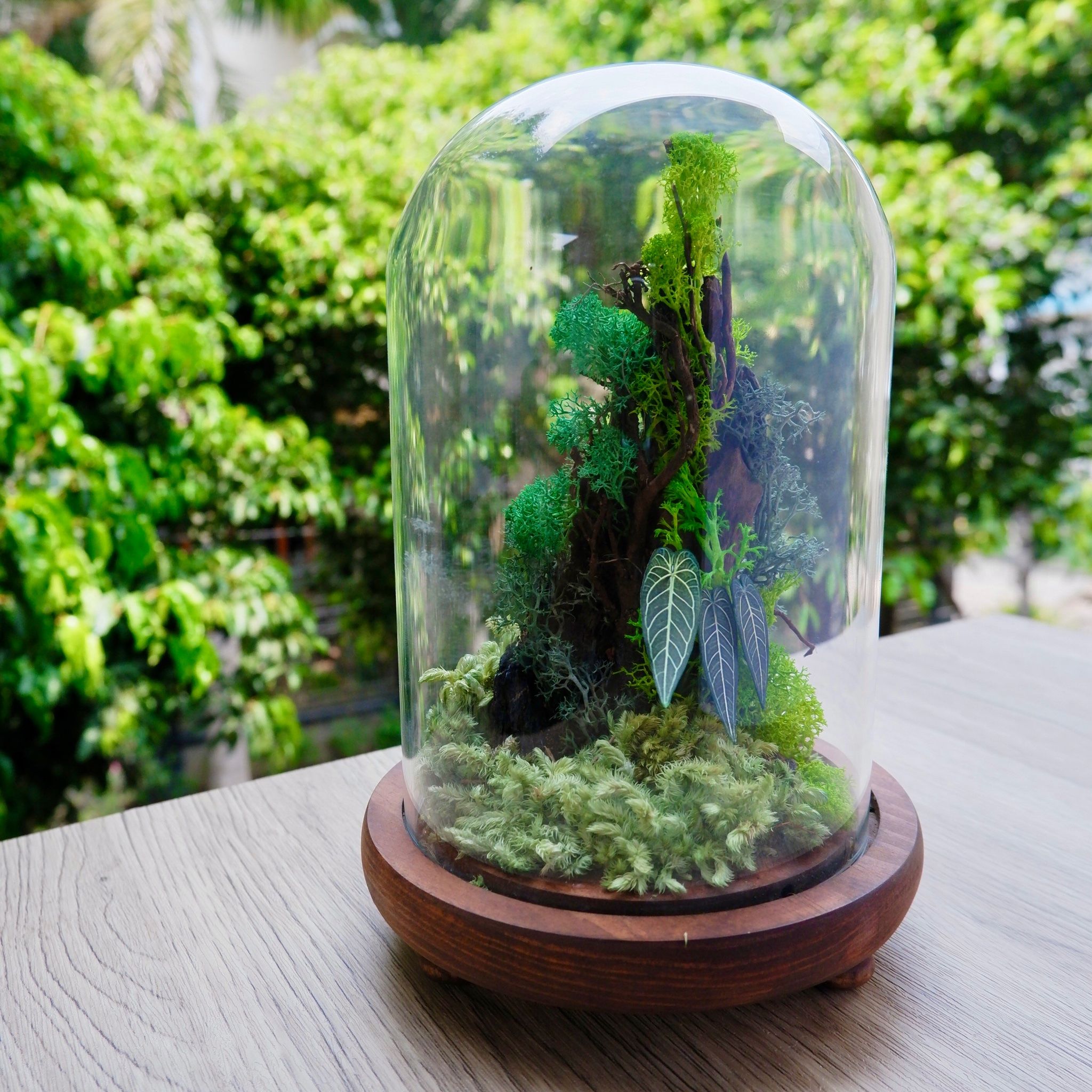  Chụp Thủy Tinh Rêu D12-H20 003 