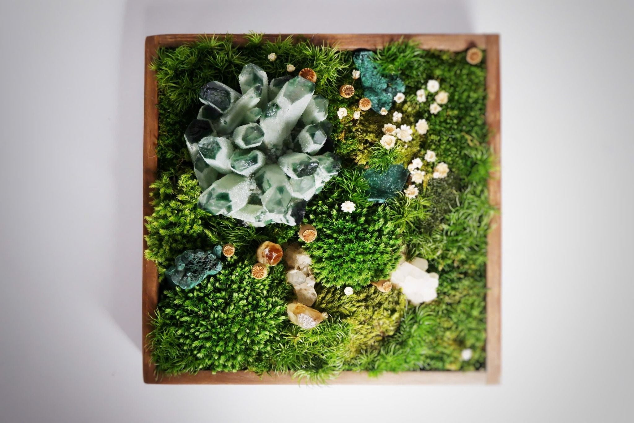  Hộp rêu đá phong thủy 