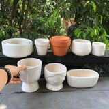  Chậu trồng cây BT men trắng 