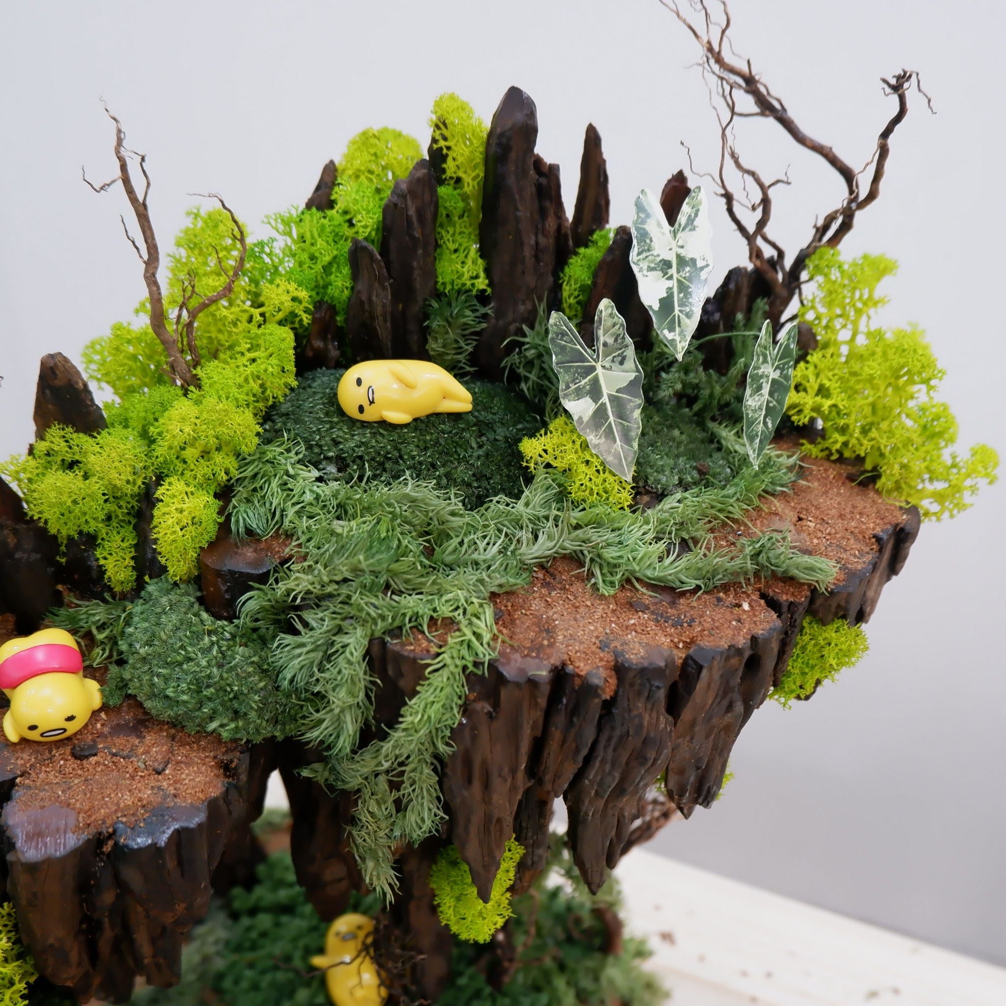  Tiểu cảnh rêu trang trí nội thất 02 